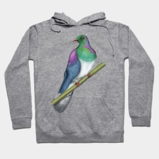 Wood pigeon Kereru New Zealand bird Hoodie